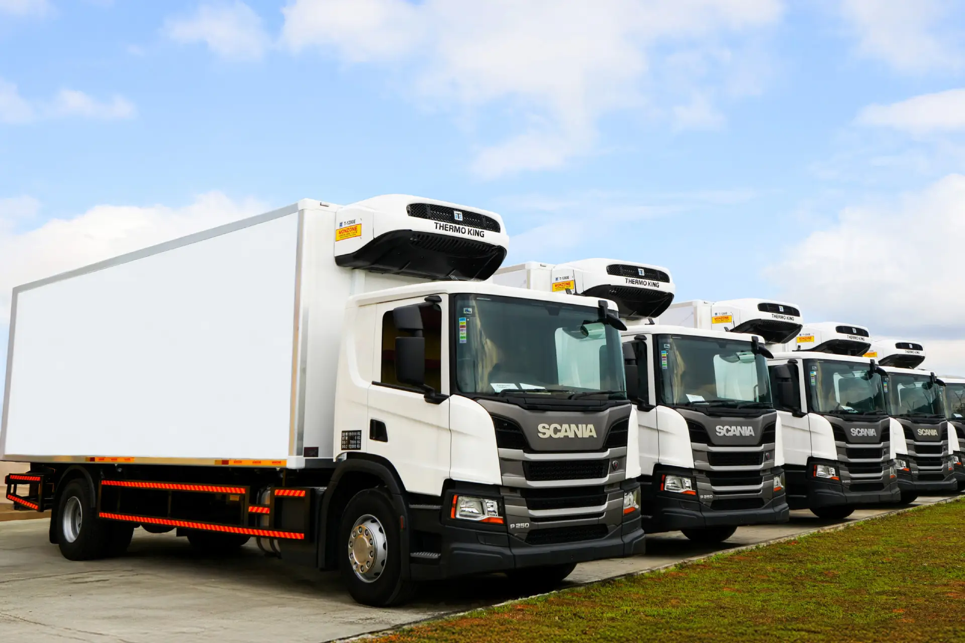 services